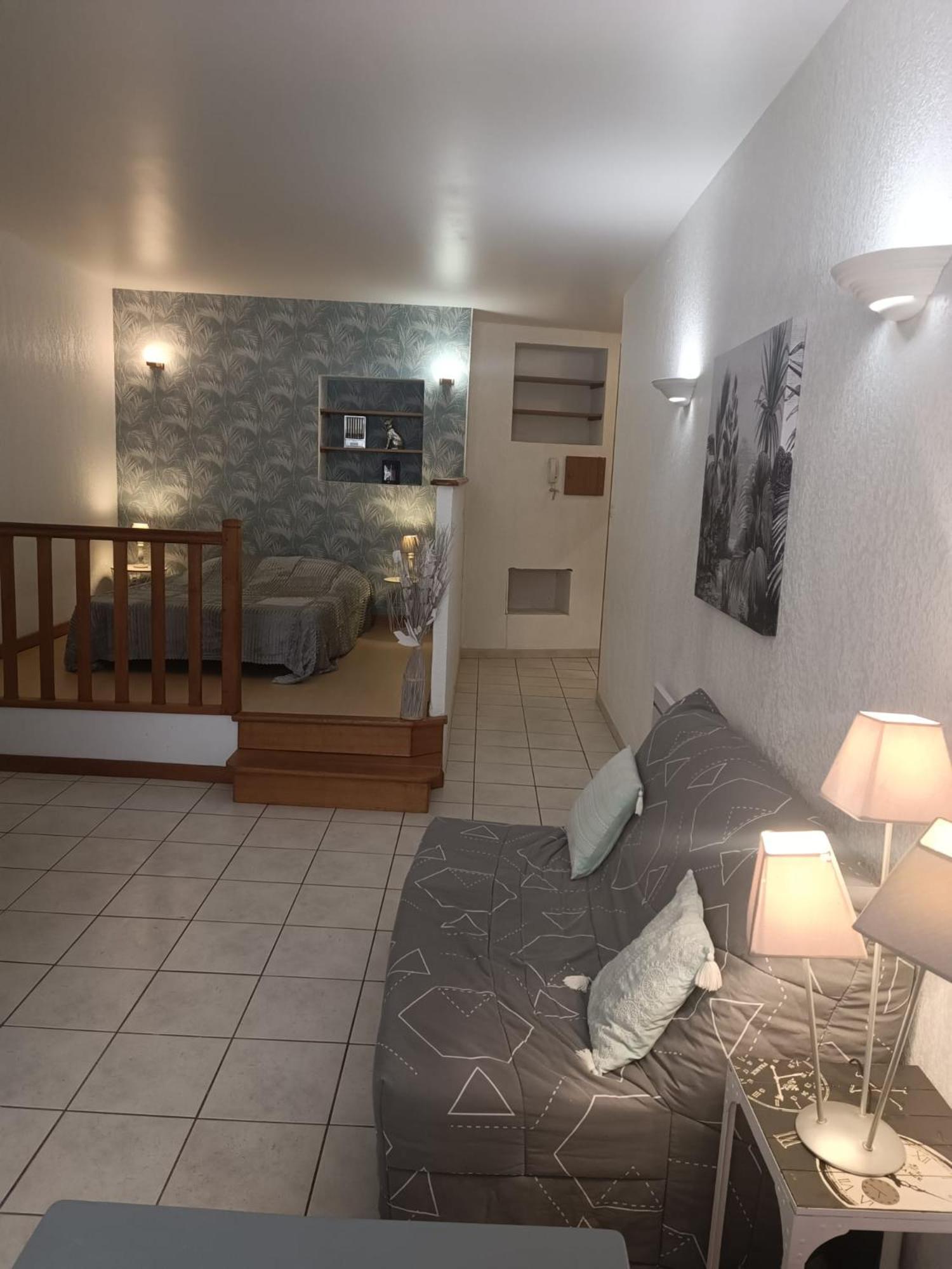 Grand Studio Meuble Chez Coco Romans-sur-Isère Extérieur photo